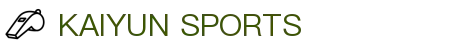 开云·体育(APP下载)官网_KAIYUN SPORT