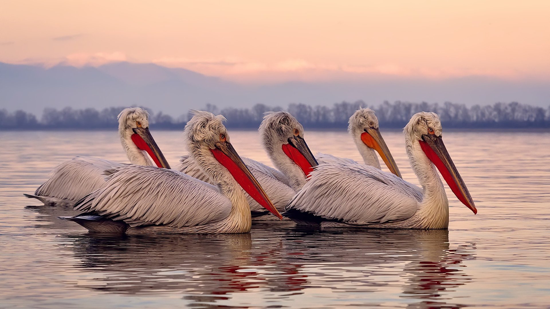 kaiyun网址-中国女篮注重心理素质提升，中国女篮团队精神的感悟