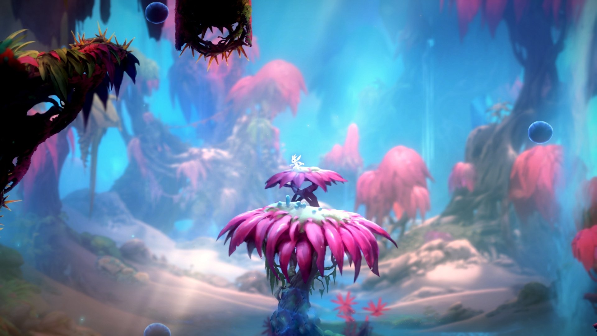 开云体育app入口-体育新闻中心主办体育文化数字化转型研讨会，体育 数字化