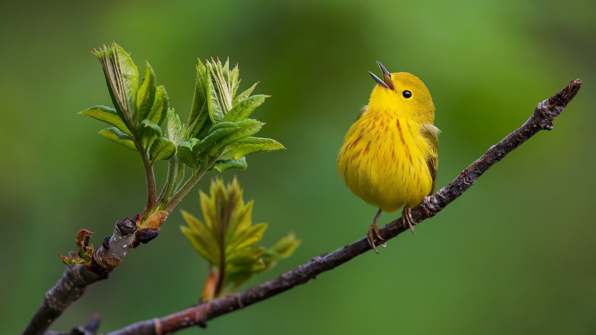 开云体育登录-体育新闻中心拓展国际体育内容版权交易合作渠道，体育版权分销