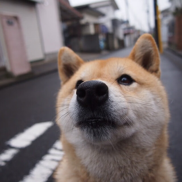 开云官网-深度解析埃及乒乓赛制：如何培养顶尖球员，埃及乒乓一哥