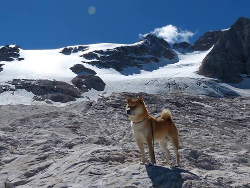 开云体育平台-职业球员伤病康复机制是否足够专业，足球运动员康复