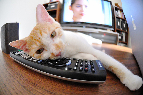 开云体育官网app-世界杯最震撼进球：让人久久难以忘怀，世界杯十大进球视频