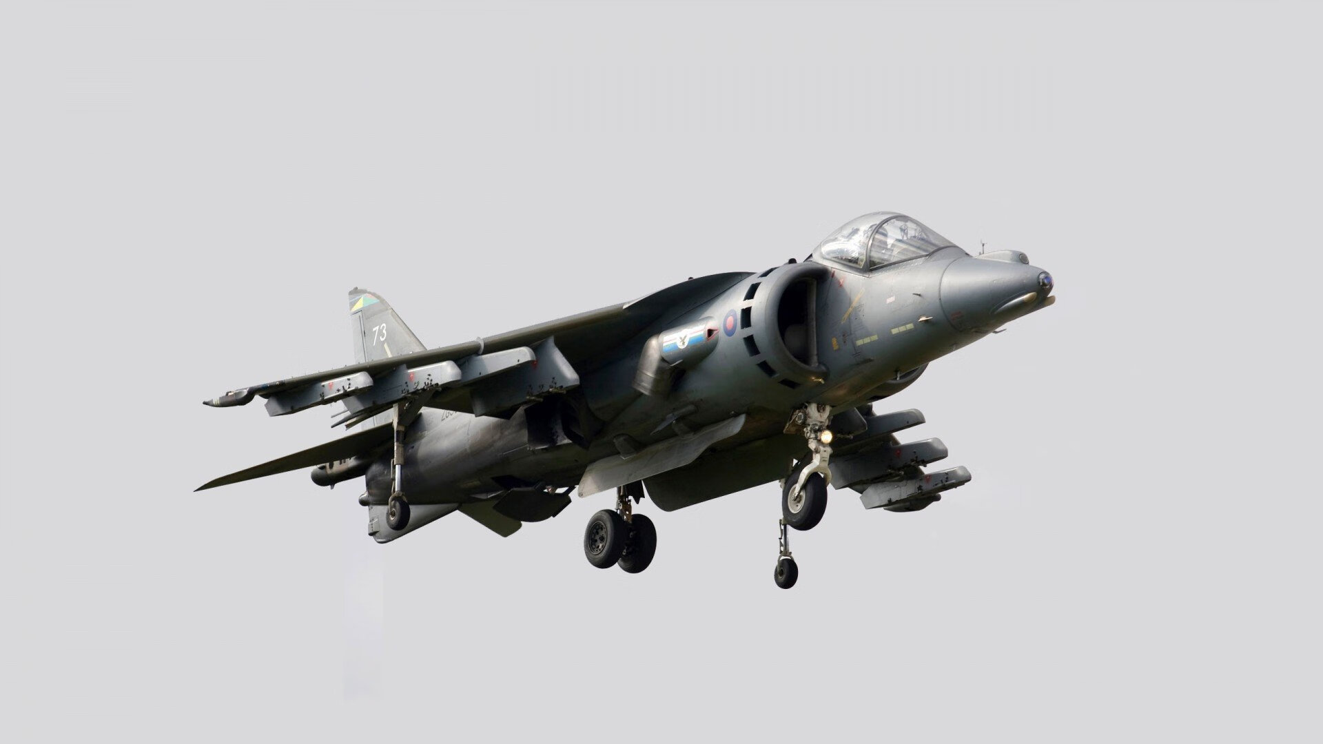 开云体育app下载-冲刺之王 切拉苏奥洛蛙泳爆发惊艳，切拉瓦洛