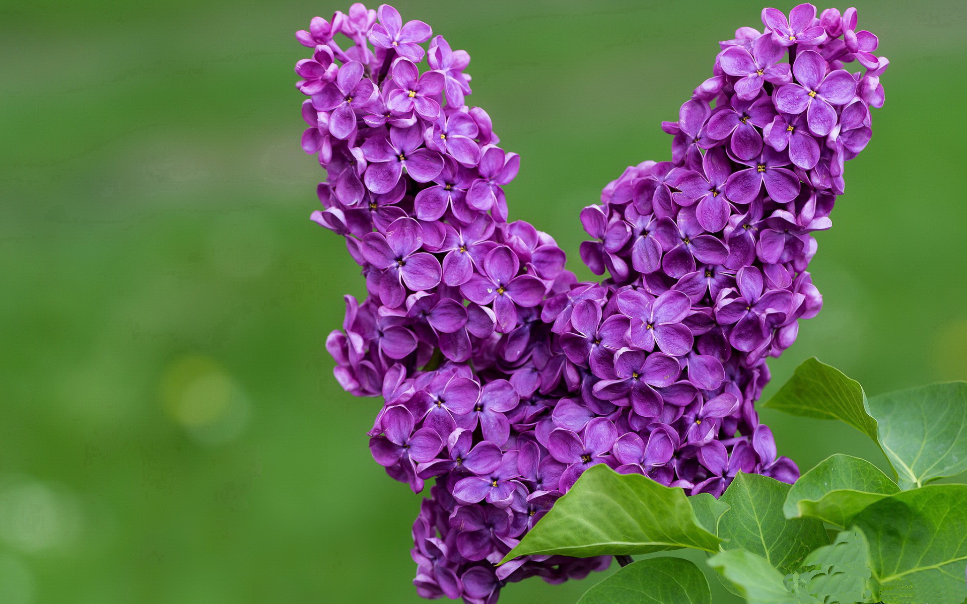 开云体育app入口-勇士强势晋级NBA季后赛，nba新赛季勇士